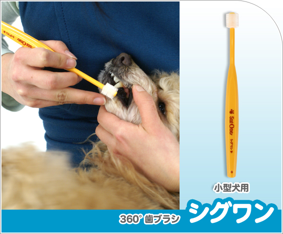 犬 歯ブラシ シグワン 360度歯ブラシ 小型犬用 イエロー 歯ブラシ 歯磨き はみがき ハミガキ