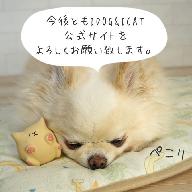 IDOG＆ICAT公式サイトリニューアルのお知らせ