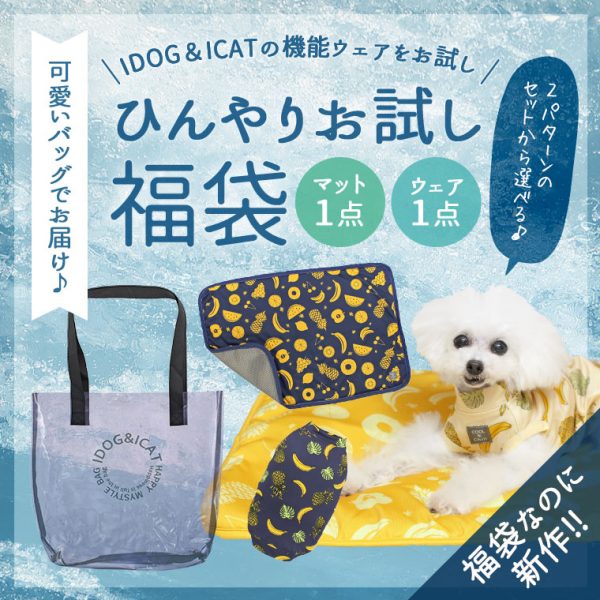 iDogのクール福袋が好評販売中!夏にピッタリのひんやり感をお試し! #30