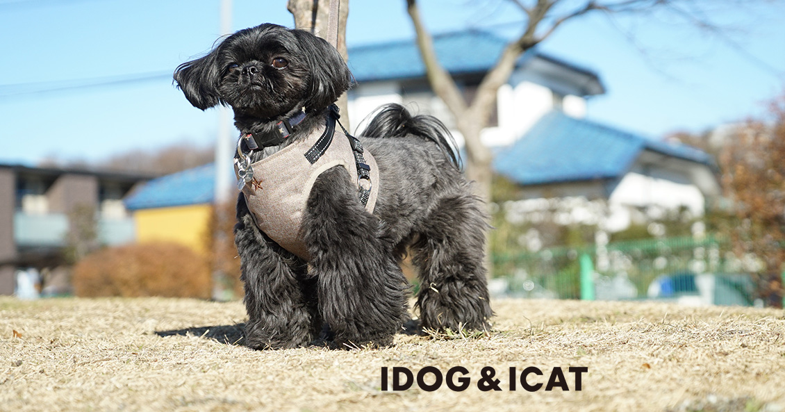 IDOG&ICAT　コンフォートハーネス