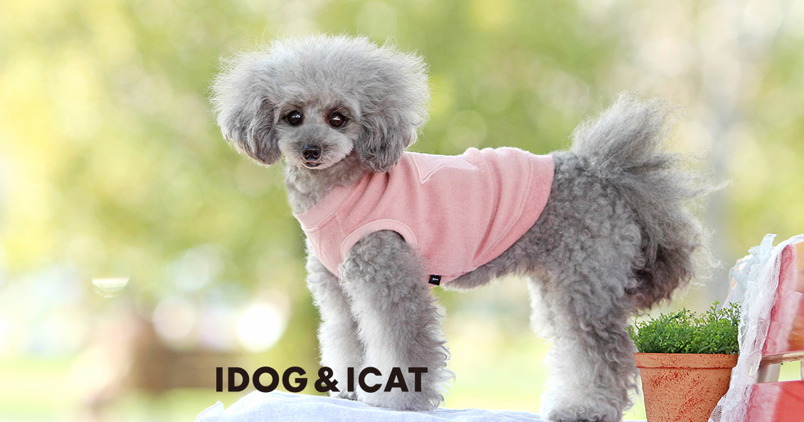 IDOG&ICATテキスト 2021春夏新作ウェア