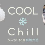 IDOG&ICAT COOL Chill　接触冷感　プレスリリース