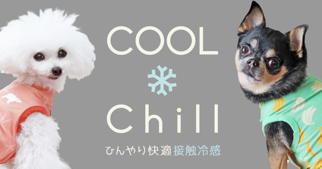 IDOG&ICAT COOL Chill 接触冷感 プレスリリース