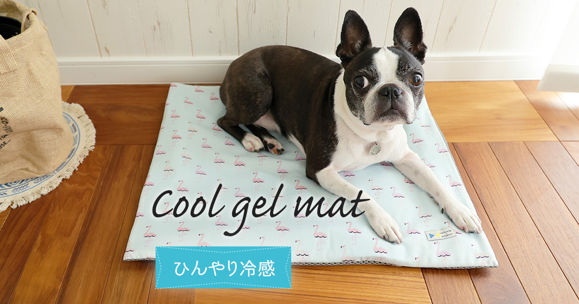 IDOG&ICAT クールジェルマット プレスリリース