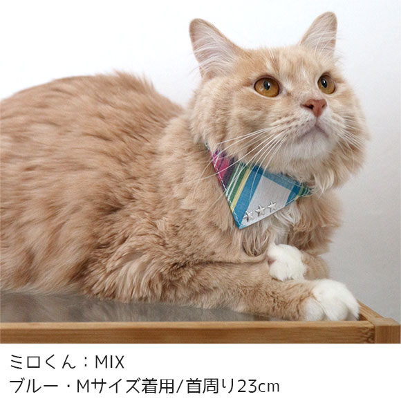 楽天市場】猫 襟 首輪の通販