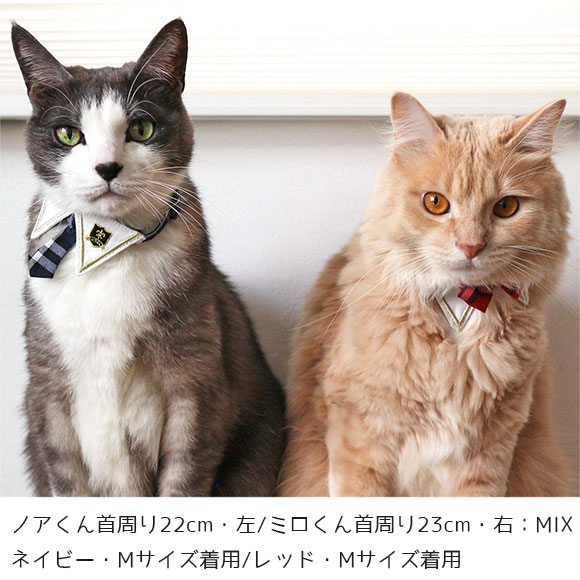 楽天市場】猫 襟 首輪の通販