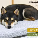 シニア向けベッド unage