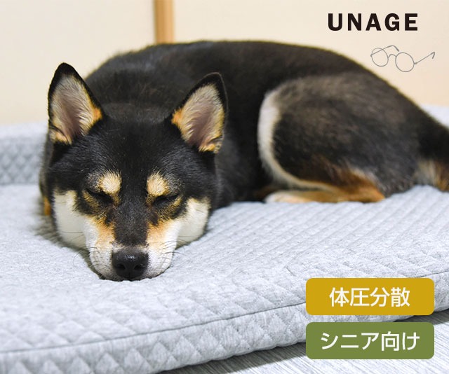 シニア向けベッド unage