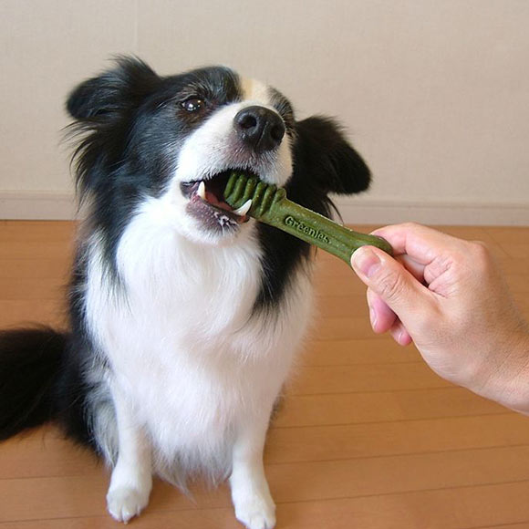 犬用歯磨きデンタルガム