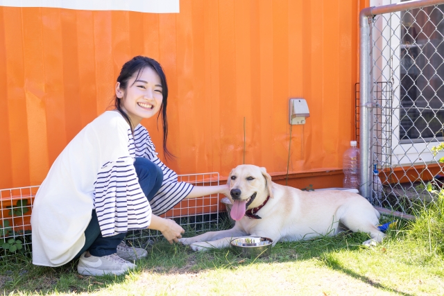 日陰で休む犬