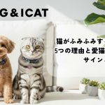 猫のふみふみに関する記事のアイキャッチ