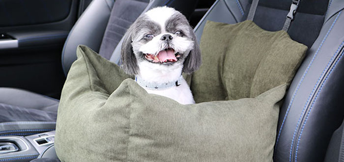 愛犬とのドライブを安全に 思わぬ事故を防止して快適な車旅を 46 Idog Icat