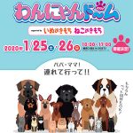 わんにゃんドーム2020ナゴヤドーム出展レポート