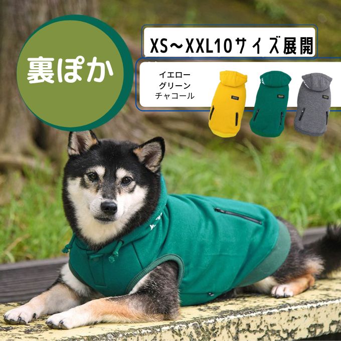 寒さ対策で犬用の防寒服を着る柴犬