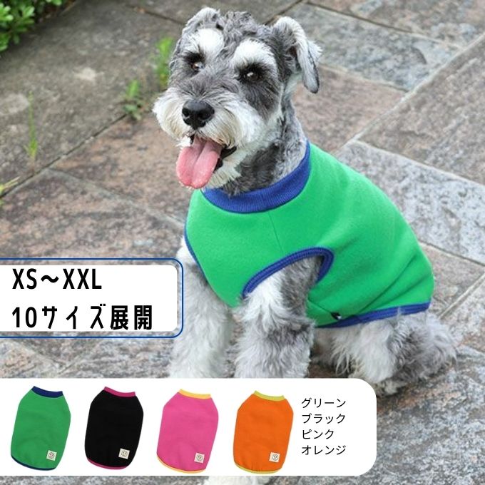 冬の犬服を着るミニチュア・シュナウザー