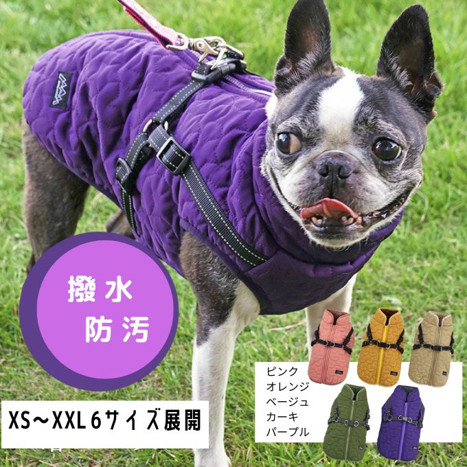 冬の寒さ対策に犬用防寒服を着るボストンテリア