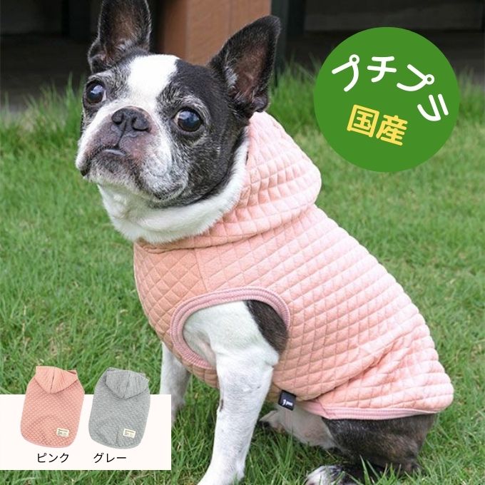 冬の寒さ対策に犬用防寒服を着るボストンテリア