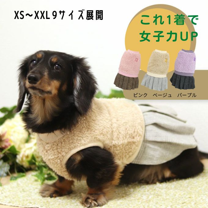 冬の防寒対策に犬服を着るミニチュア・ダックス