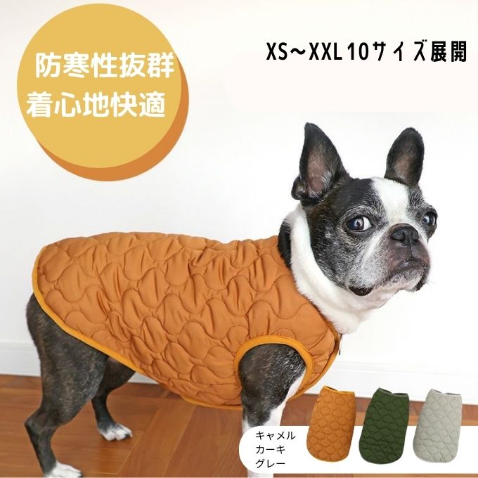 冬の寒さ対策に犬用防寒服を着るボストンテリア