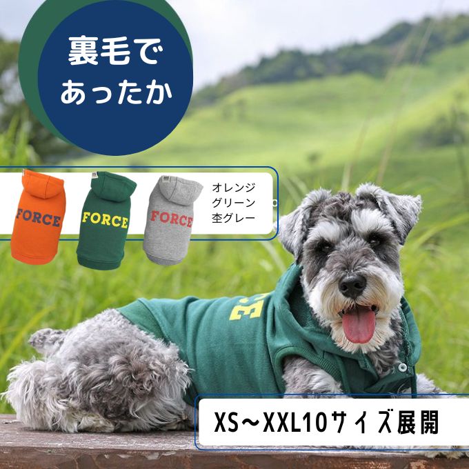 冬の犬服を着るミニチュア・シュナウザー