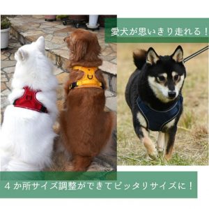 運動しやすいハーネスをする犬