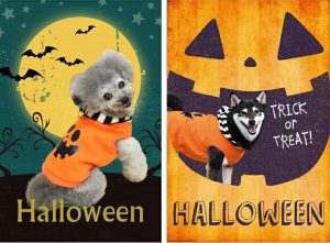 おいしい かわいい 愛犬とおうちハロウィンアイデア集 レシピやおすすめドッグウエアも 76 Idog Icat