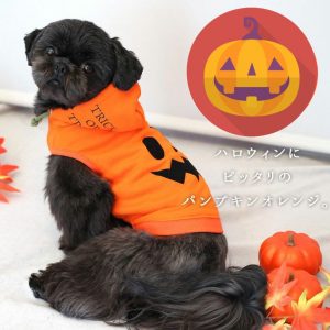 おいしい かわいい 愛犬とおうちハロウィンアイデア集 レシピやおすすめドッグウエアも 76 Idog Icat