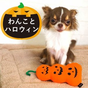 ハロウィンのおもちゃと犬