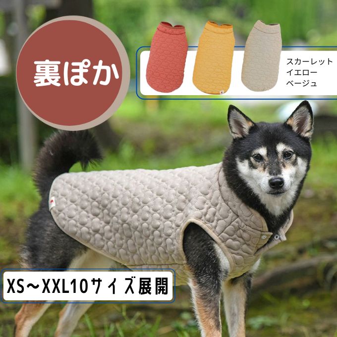 寒さ対策で犬用の防寒服を着る柴犬