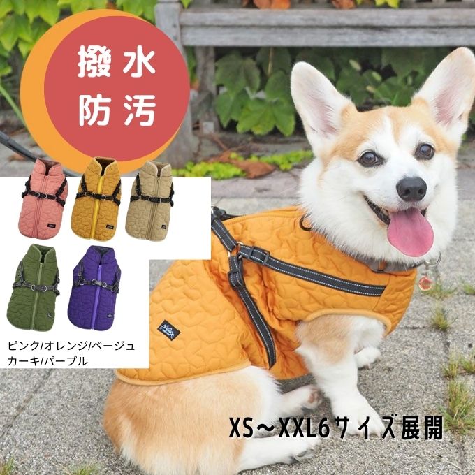 冬の寒さ対策に防寒犬服を着るコーギー