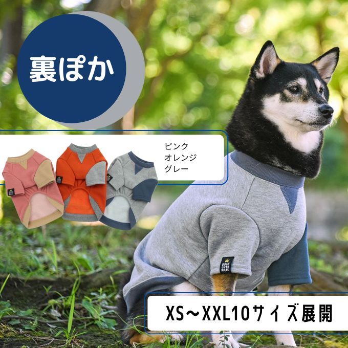 寒さ対策で犬用の防寒服を着る柴犬