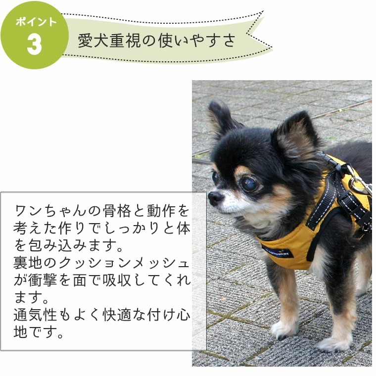 毎日のお散歩が楽、首がくるしくない犬用布製ハーネスとリードのセット