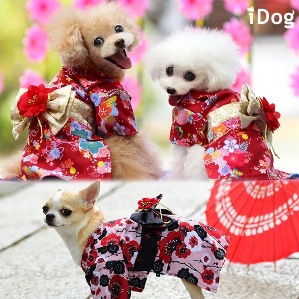 愛犬と一緒に過ごす新年をもっと素敵なひとときに。 #100