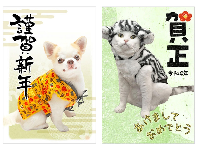 愛犬・愛猫の成長記録 vol.29