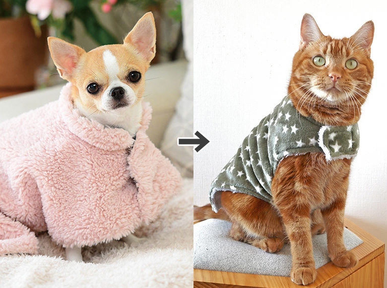 お客様のお声を形に】毛布ポンチョ【ペットの着る毛布】が更に快適に。#90 – IDOGICAT