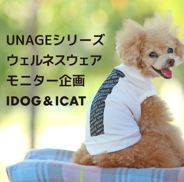 IDOG&ICATでは高機能素材を使用したペットウェア【IDOGウェルネスウェア】を企画！ #102