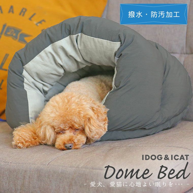 ドーム型の犬用ベッドで眠る犬