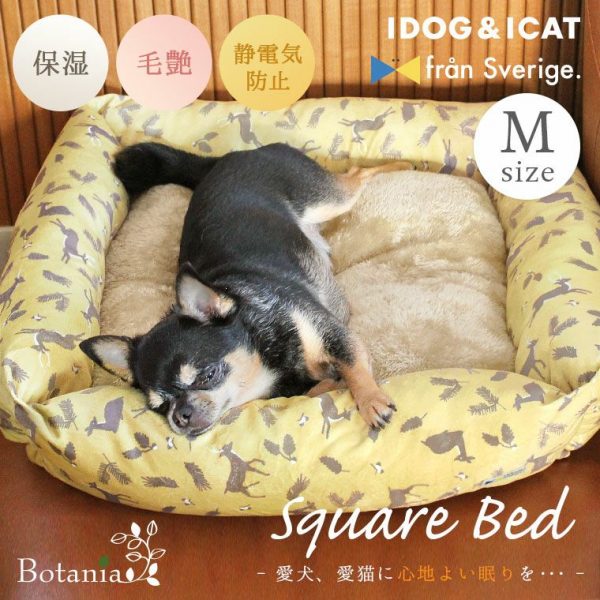 なぜ犬はベッドを引っ掻くのでしょうか？