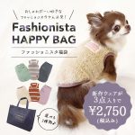 【 犬 服 福袋 】iDog 福袋 ファッショニスタパック 3枚入り オリジナルバッグ付き