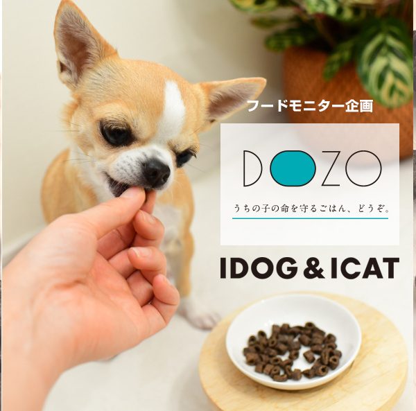 IDOG&ICATではペットの健康寿命20年を目指す、ドッグフード【DOZO(ドーゾ)】を共同開発！ #136