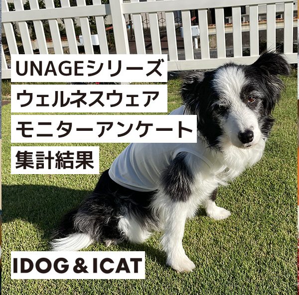 【IDOGウェルネスウェア】ペットモニターアンケート一覧 #137