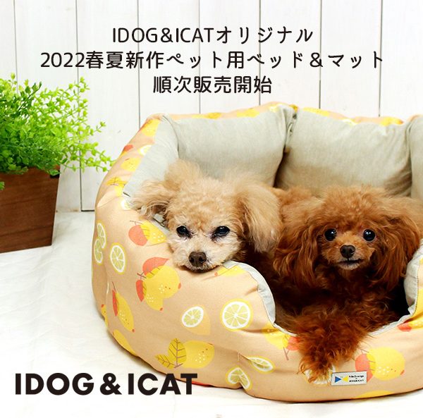 2022春夏新作のIDOG&ICATオリジナルペットベッド＆マットを2022年1月28日より順次販売。ひんやり接触冷感素材と防虫機能加工を施した、ペットに優しいベッドで愛犬・愛猫に心地よい眠りを。