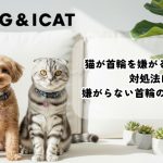 猫が首輪を嫌がる5つの理由と対処法は？嫌がらない首輪の選び方も解説