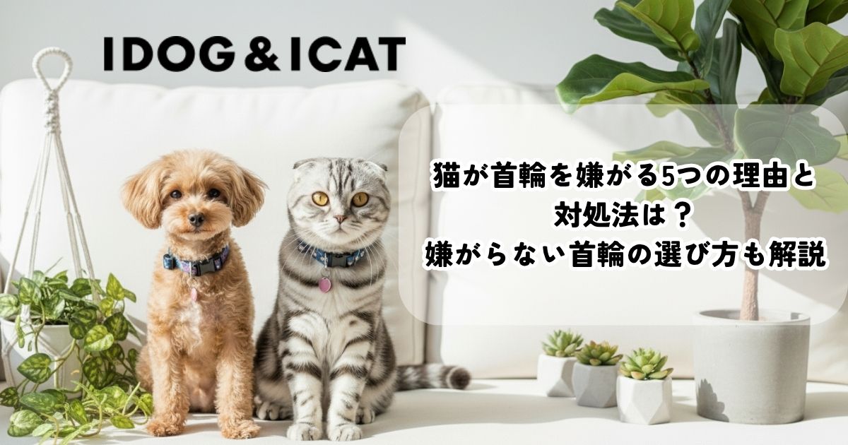 猫が首輪を嫌がる5つの理由と対処法は？嫌がらない首輪の選び方も解説