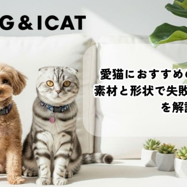 愛猫におすすめの爪とぎはどれ？素材と形状で失敗しない選び方を解説