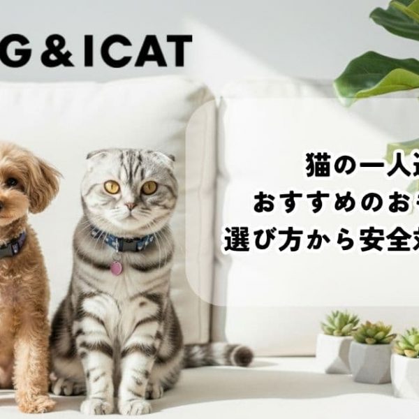 猫の一人遊びにおすすめのおもちゃは？選び方から安全対策まで解説