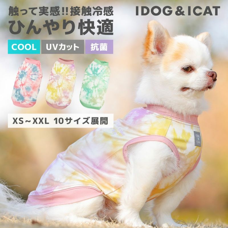 暑さ対策でiDogのクール服を着るチワワ