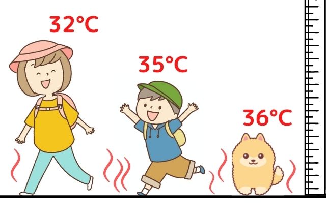 ポメラニアンの熱中症対策　暑さを示す図解