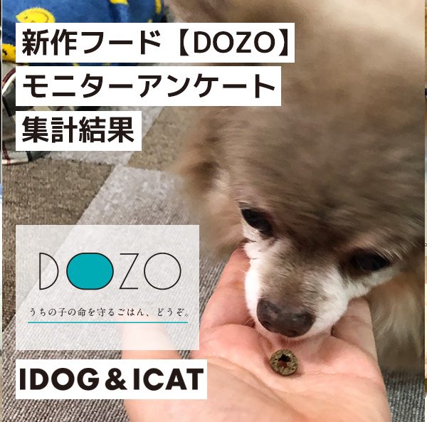 【DOZO】ペットモニターアンケート集計結果