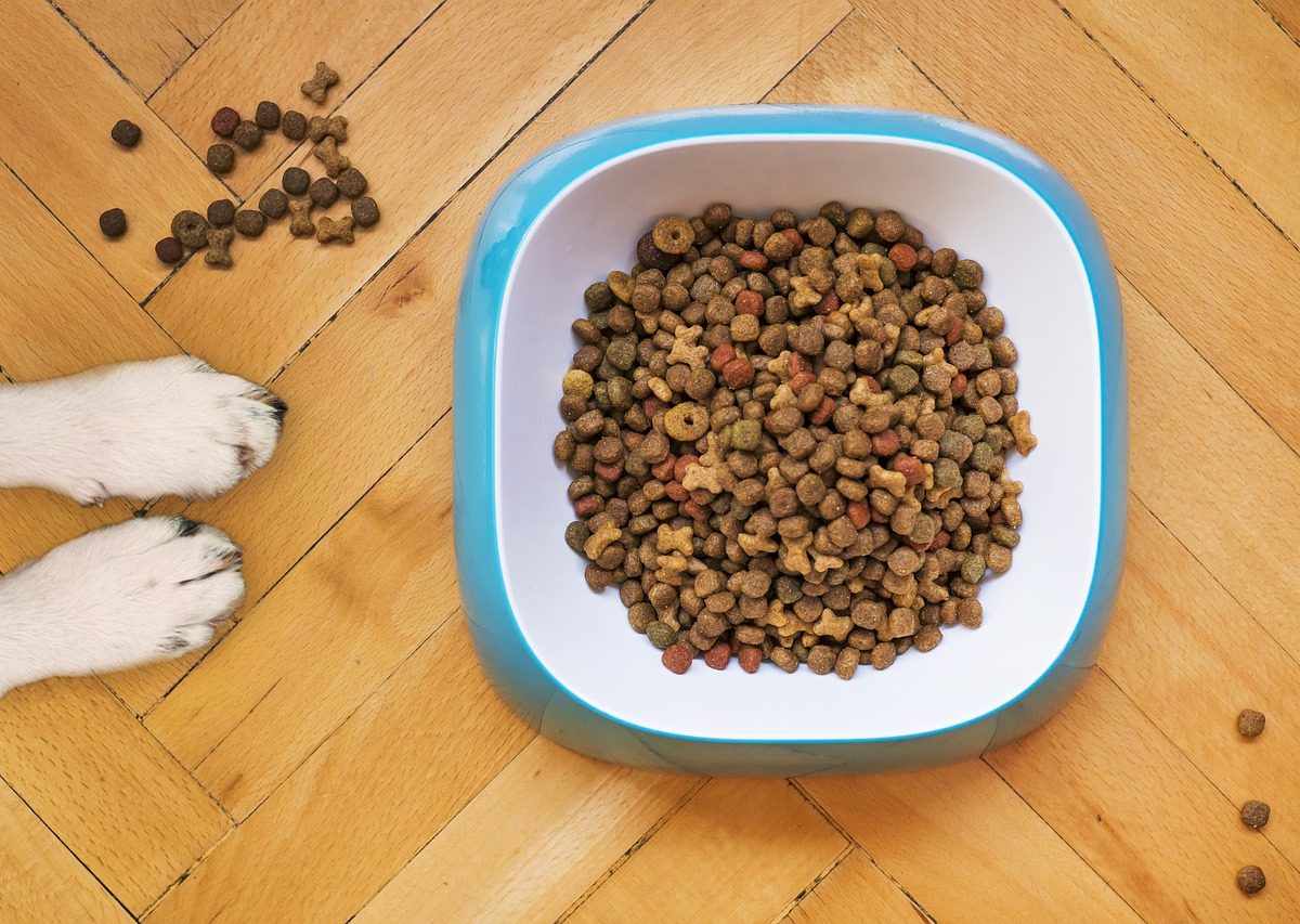 dog-food1